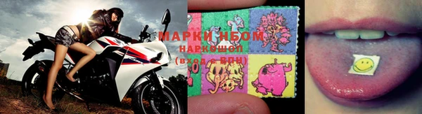 apvp Дмитров