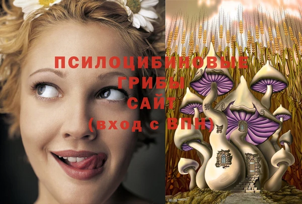 jwh Дмитровск