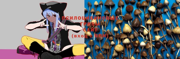 мяу мяу мука Гусь-Хрустальный