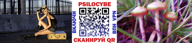 Псилоцибиновые грибы GOLDEN TEACHER  купить  цена  Новочеркасск 