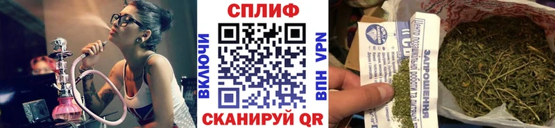 Бошки Шишки SATIVA & INDICA  Новочеркасск 